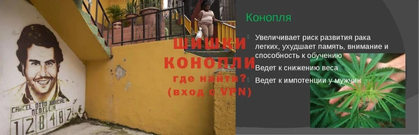 гидра Баксан