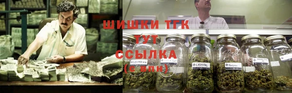 гидра Баксан