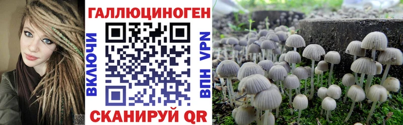 Псилоцибиновые грибы MAGIC MUSHROOMS  сколько стоит  Коммунар 